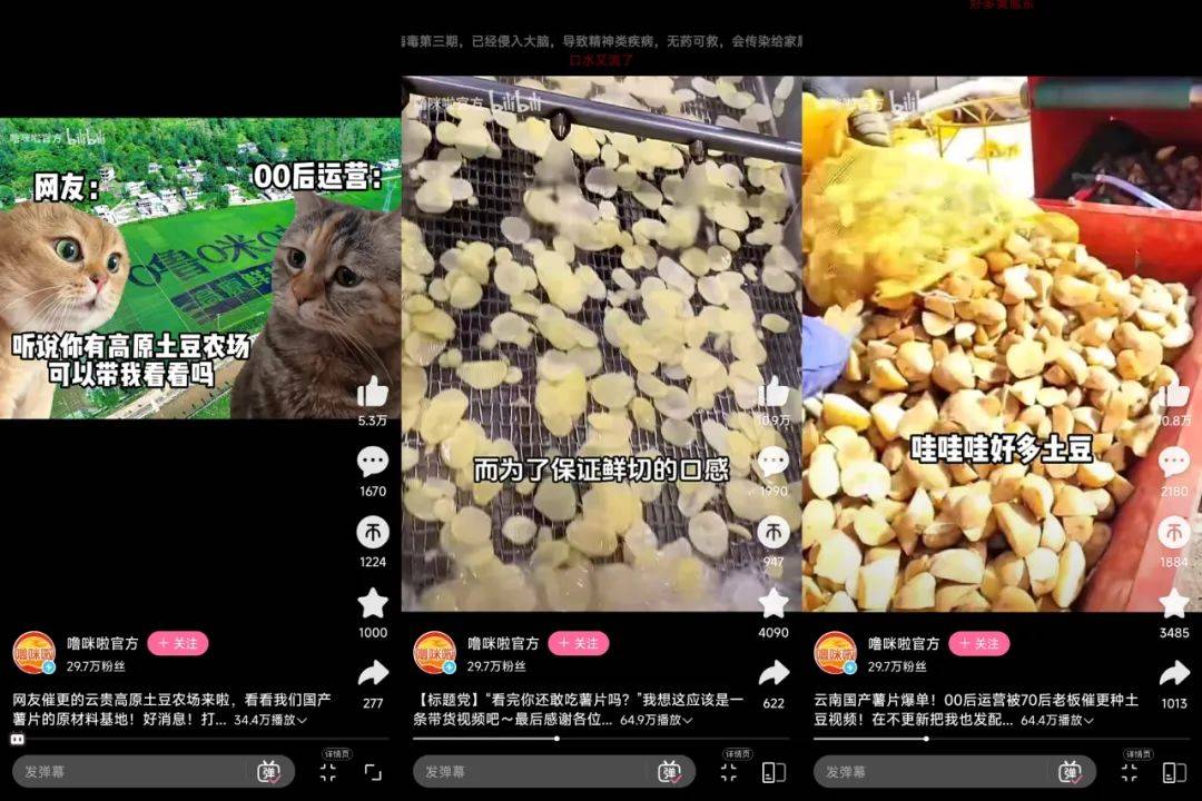 小红书2天涨粉2万，“猫meme”成流量密码？薯片带你解锁爆款逻辑